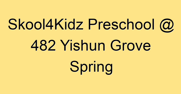 Skool4Kidz Preschool @ 482 Yishun Grove Spring